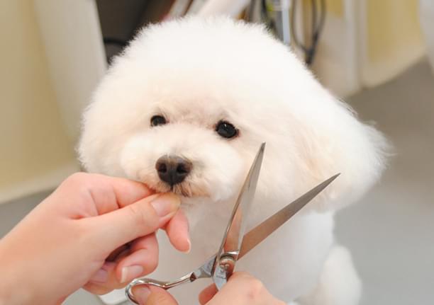 ショートカットクオリティのトリミングを