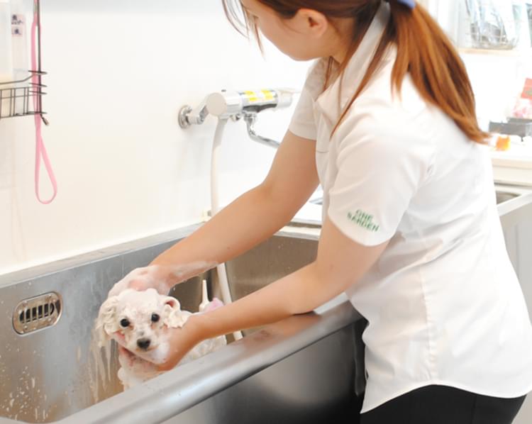 アロマ×酵素 癒しのジャグジーワンランク上の高品質シャンプー